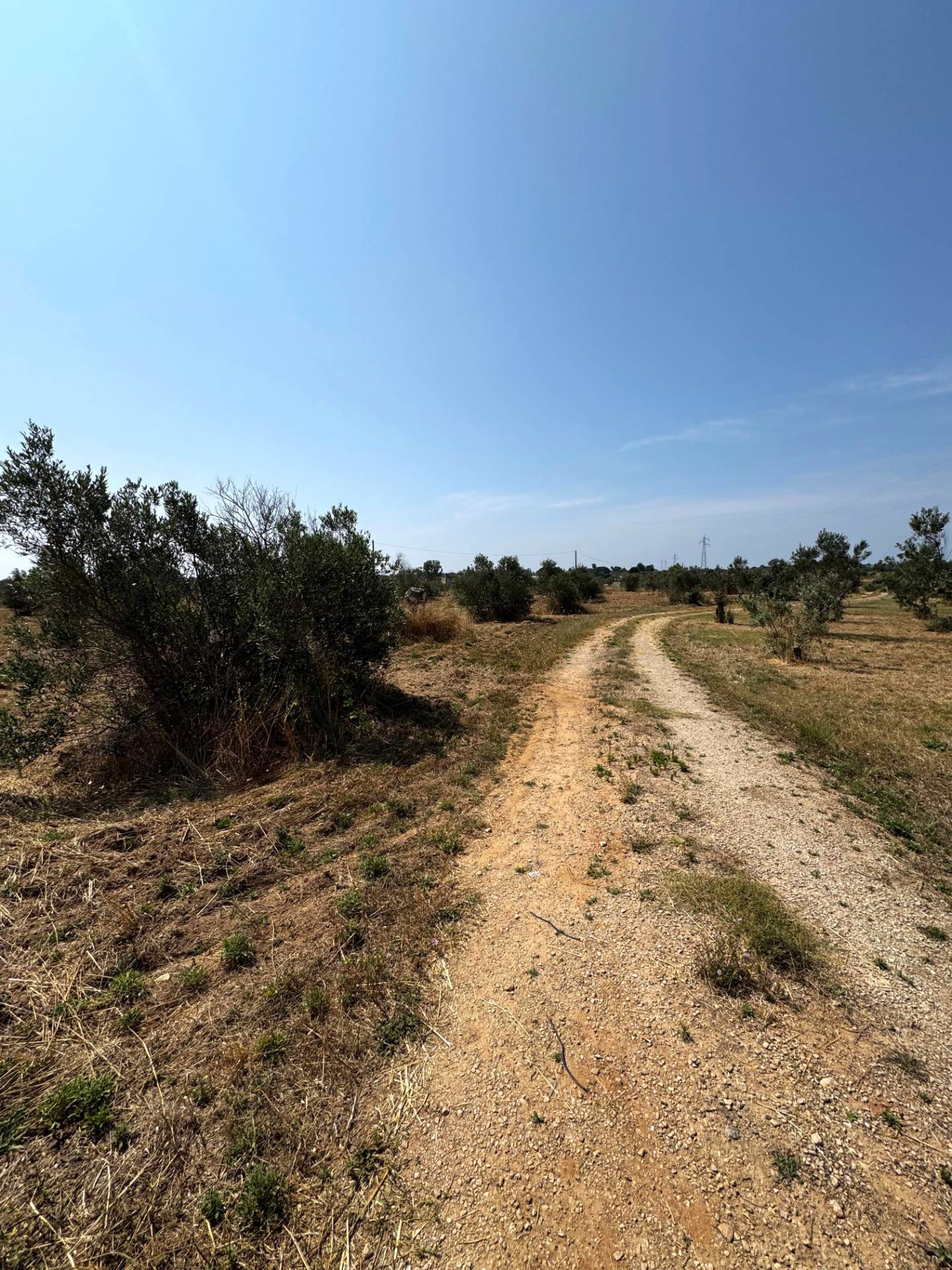 Terreno Agricolo in vendita a Sannicola