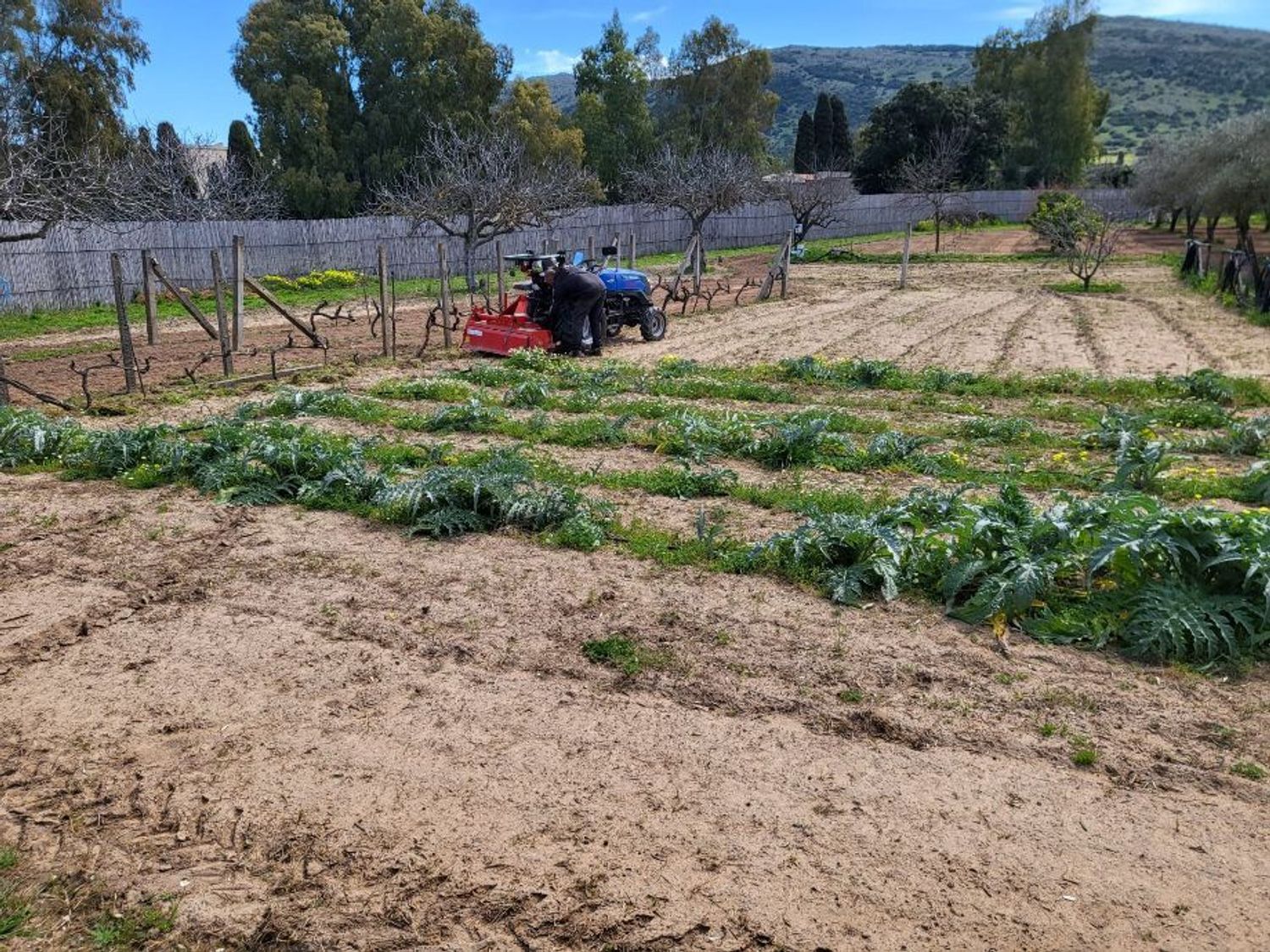 Terreno Agricolo in vendita a Carbonia