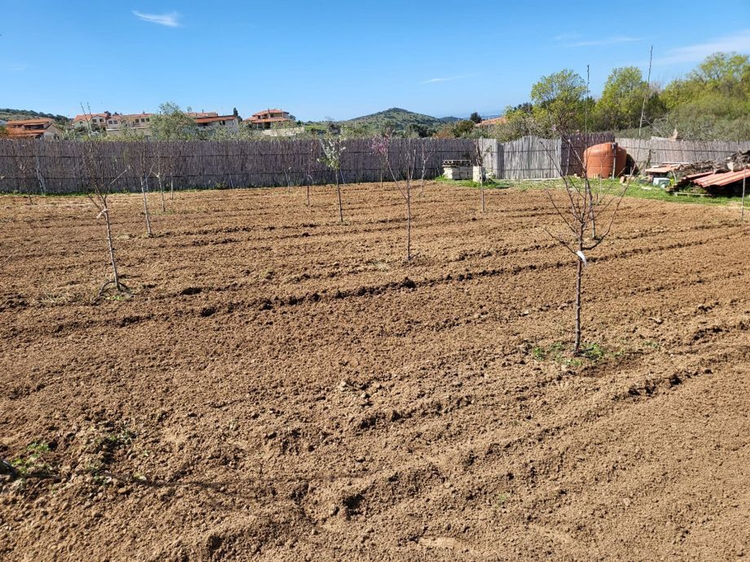 Terreno Agricolo in vendita a Carbonia