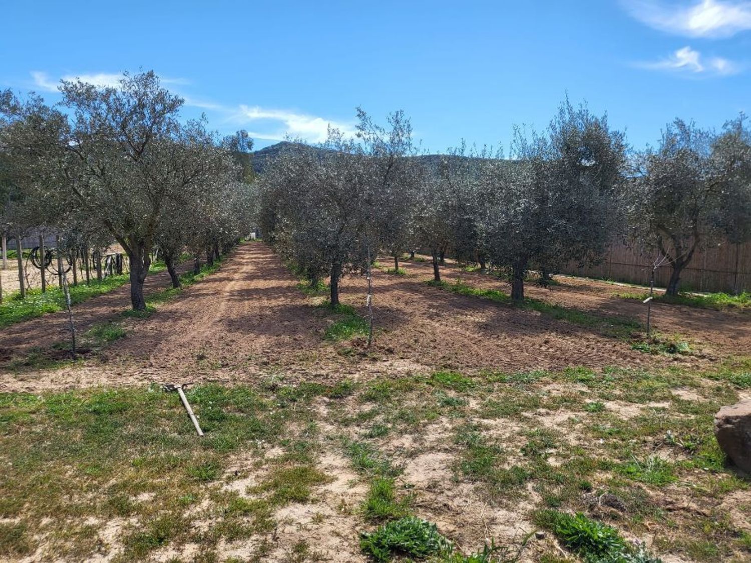 Terreno Agricolo in vendita a Carbonia