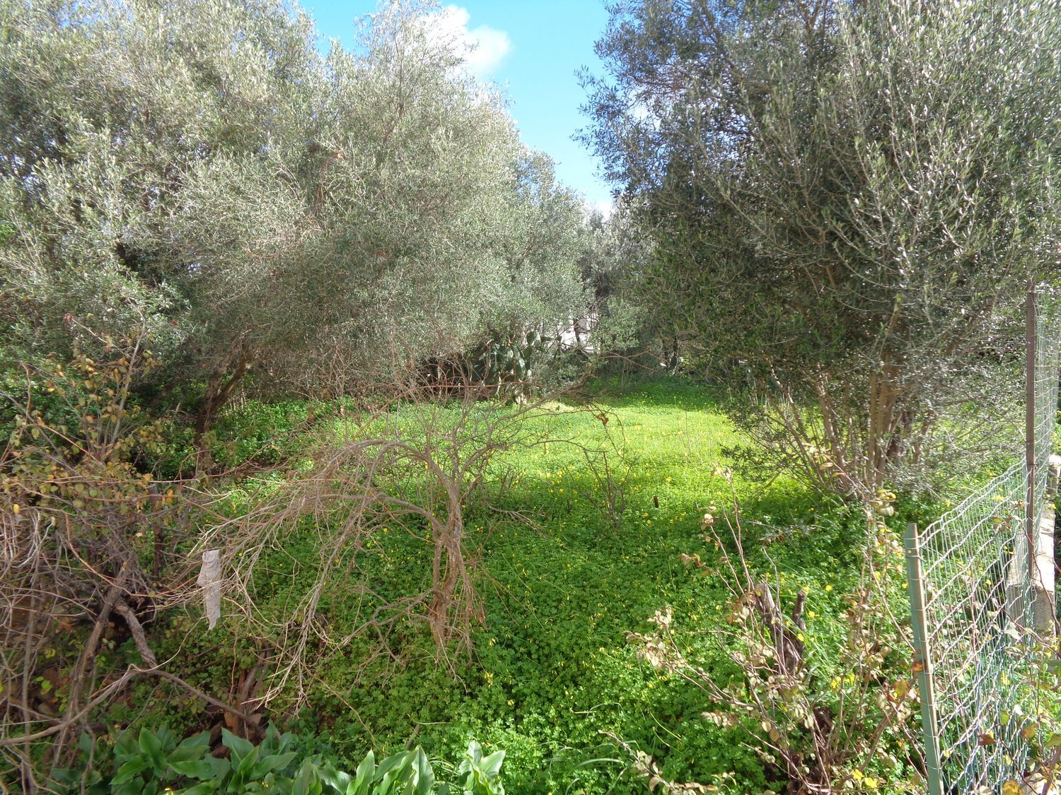 Appartamento in vendita a Carbonia