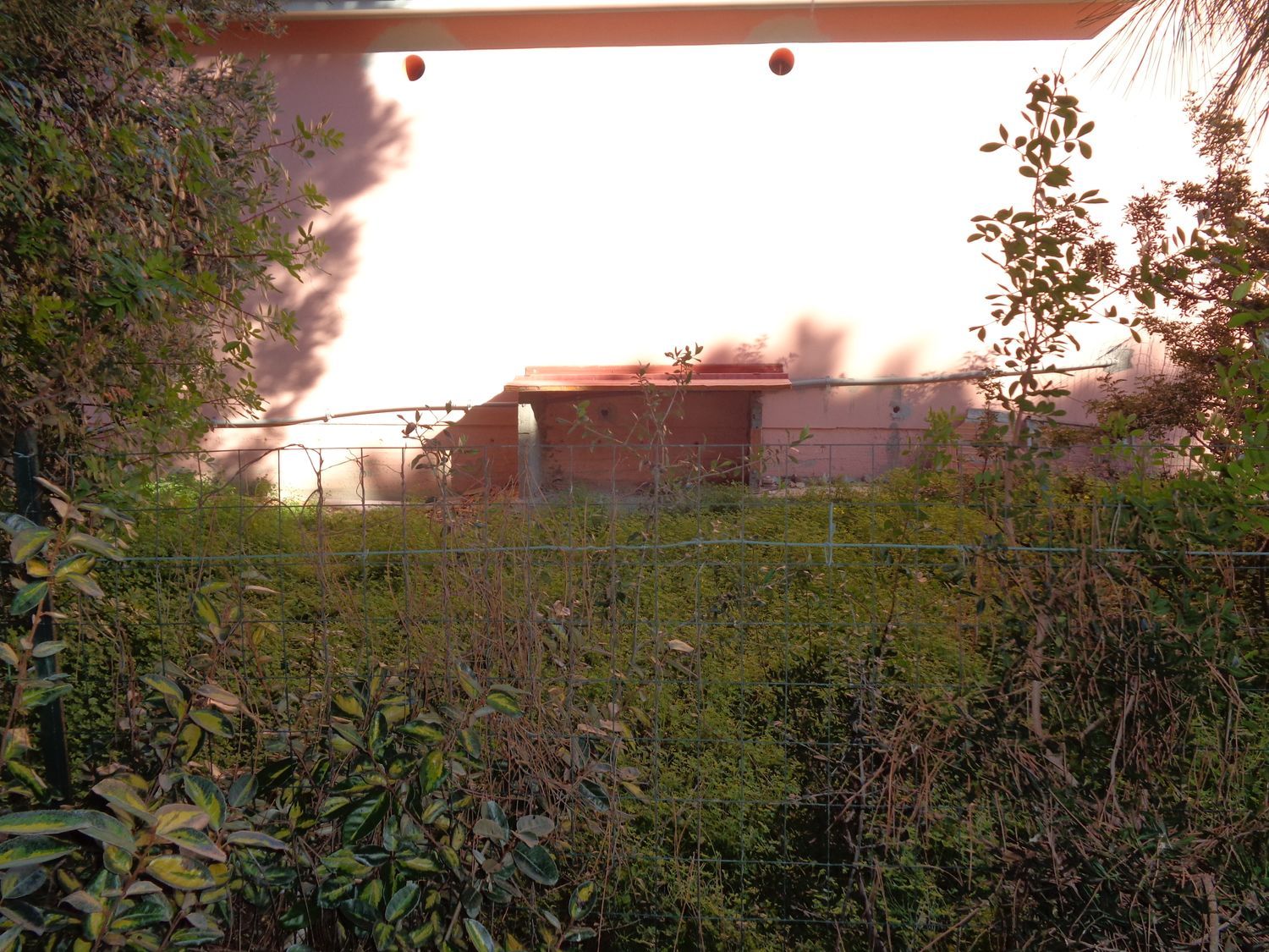 Locale commerciale in vendita a Tratalias