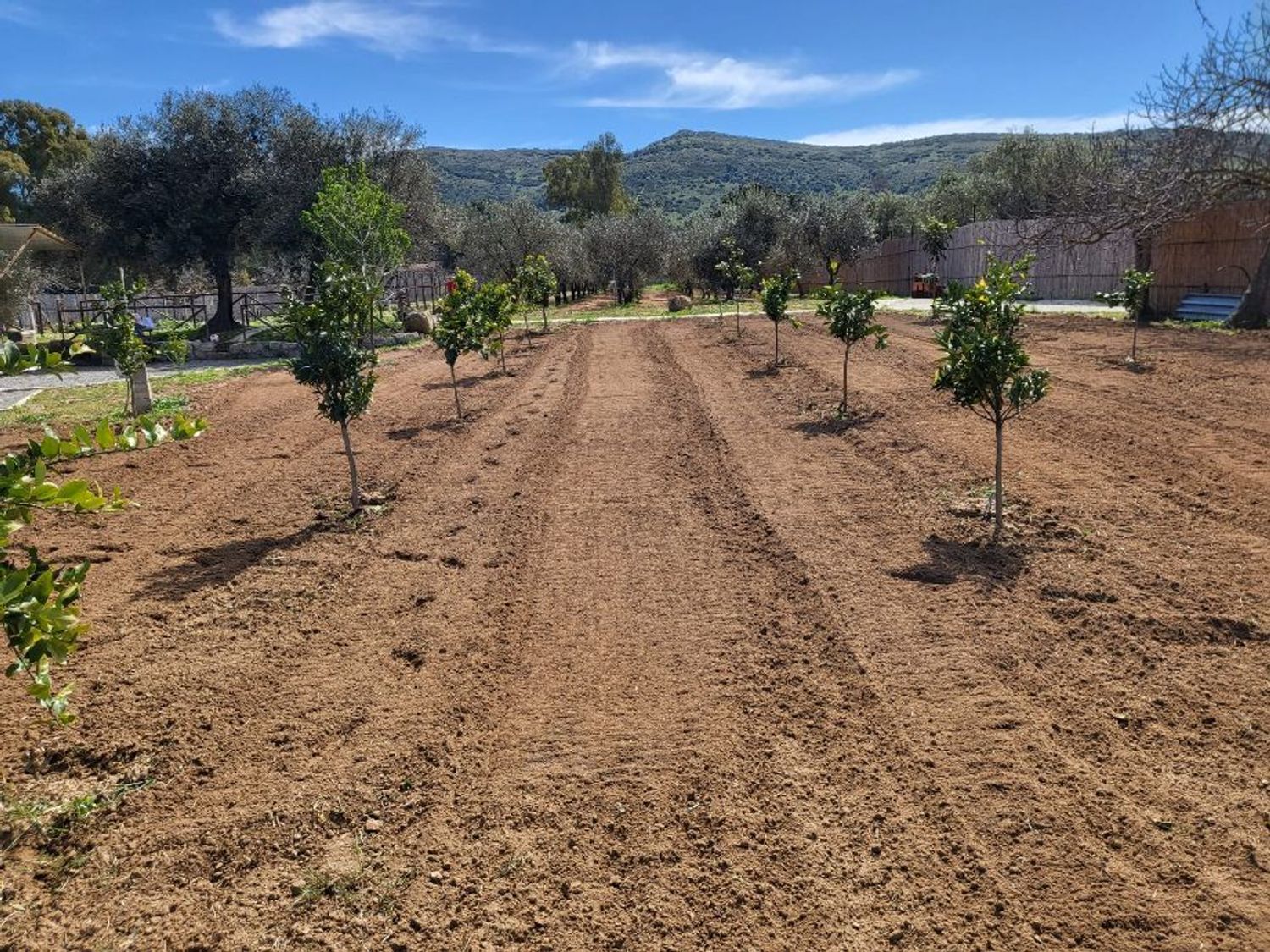 Terreno Agricolo in vendita a Carbonia
