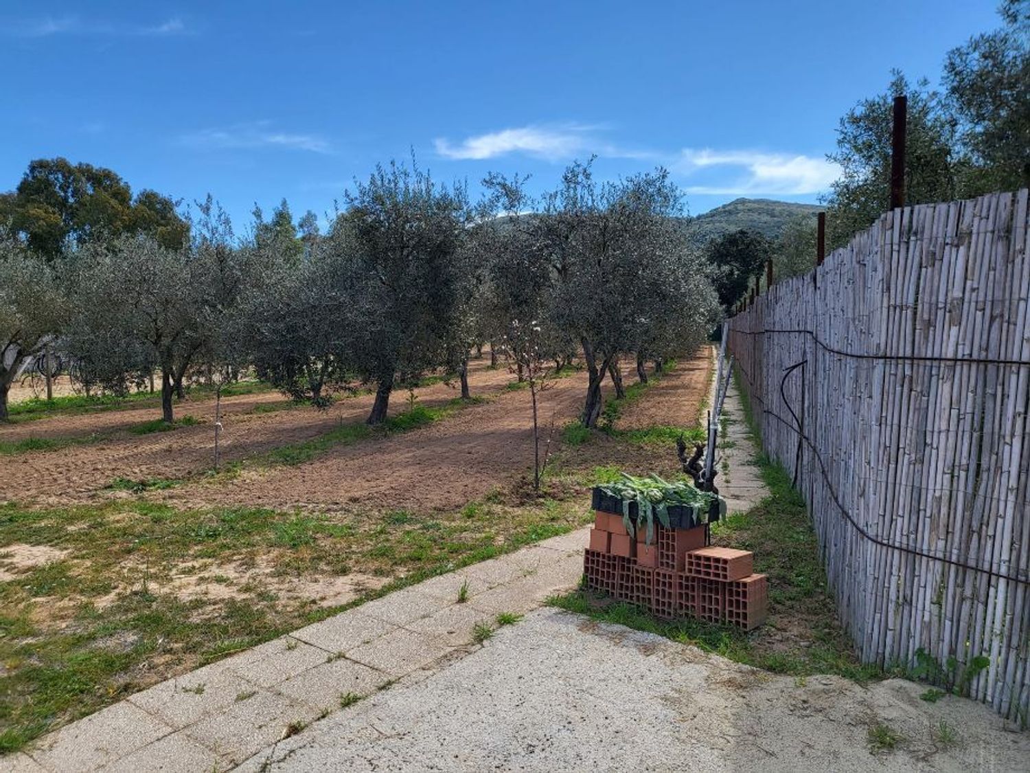 Terreno Agricolo in vendita a Carbonia