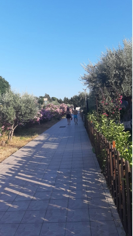 Appartamento in affitto a Diamante