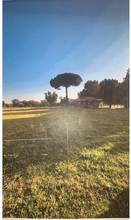 Stabile/Palazzo in vendita a Latina