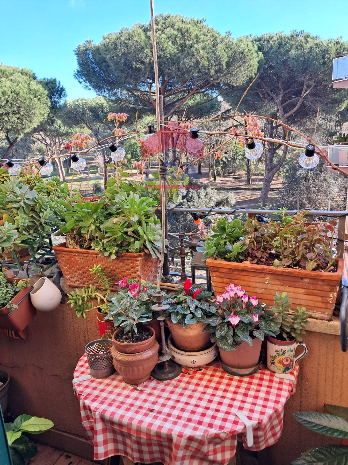 Appartamento in vendita a Roma, Caffarella