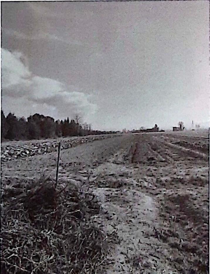 Appartamento in vendita a Castelnuovo Scrivia