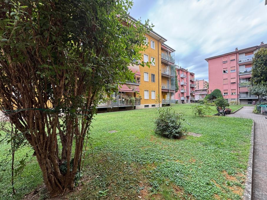 immagine annuncio 3 di 6