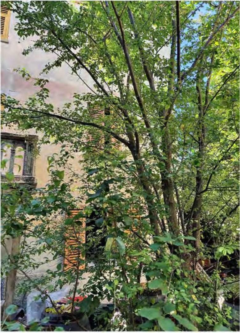 Appartamento in vendita a Lerma