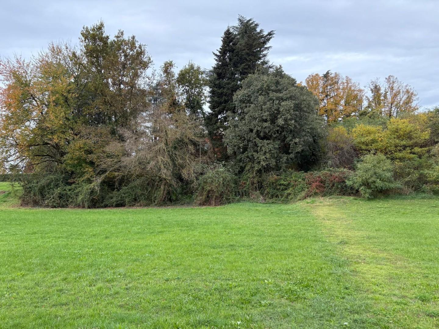 Villa con giardino a Borgomasino
