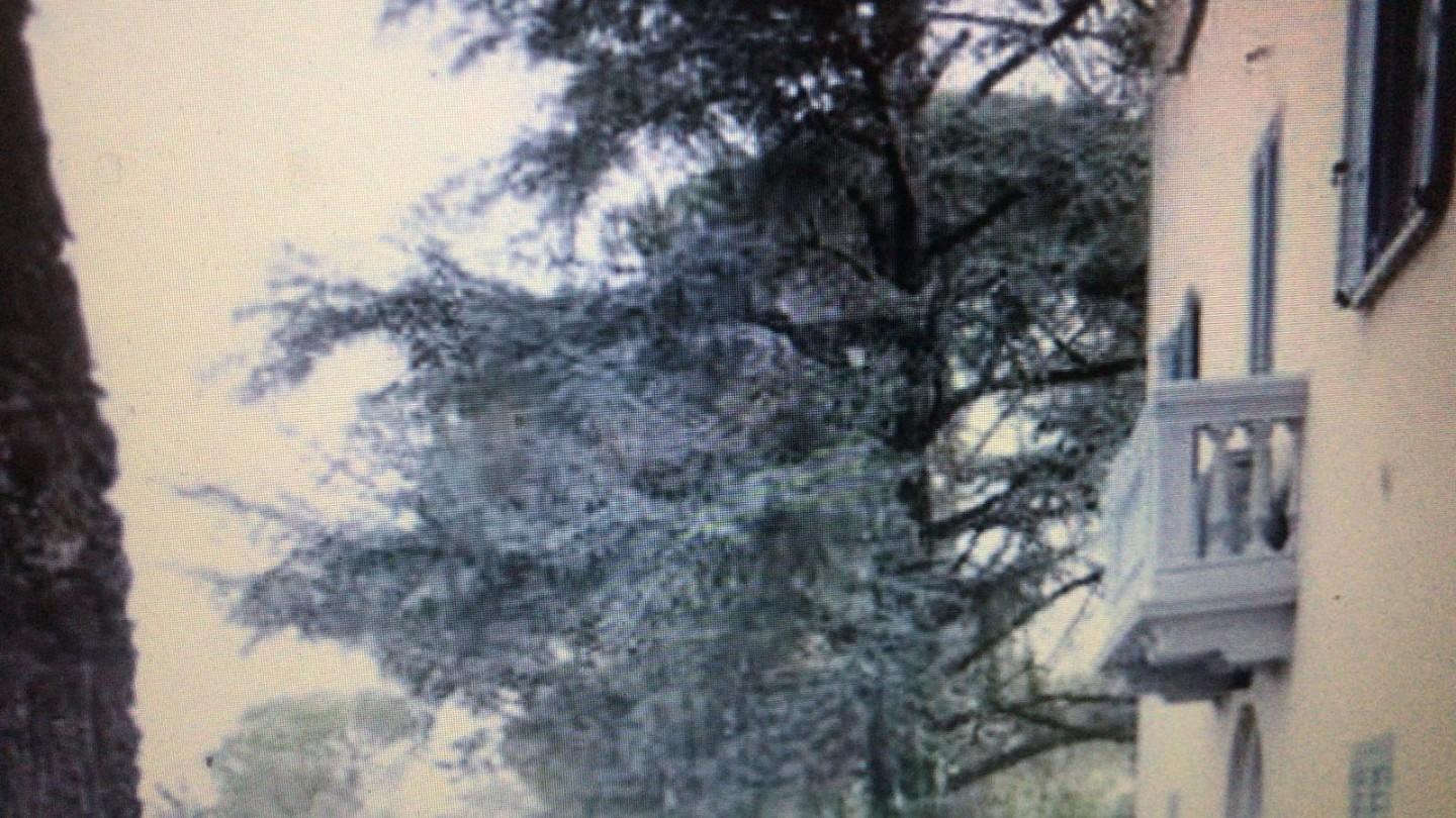 Villa in vendita a Quarrata