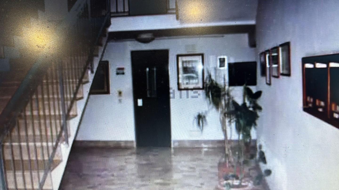 Appartamento con terrazzi a Pisa