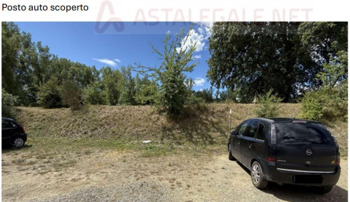 immagine annuncio 5 di 6