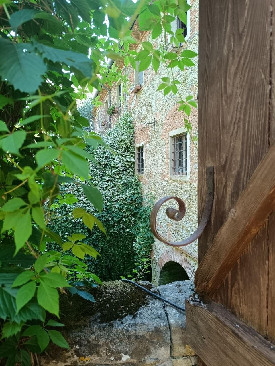 Casa indipendente con giardino, Fauglia acciaiolo