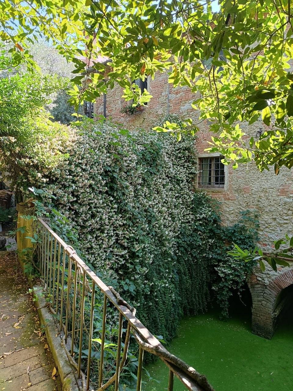 Casa indipendente con giardino, Fauglia acciaiolo