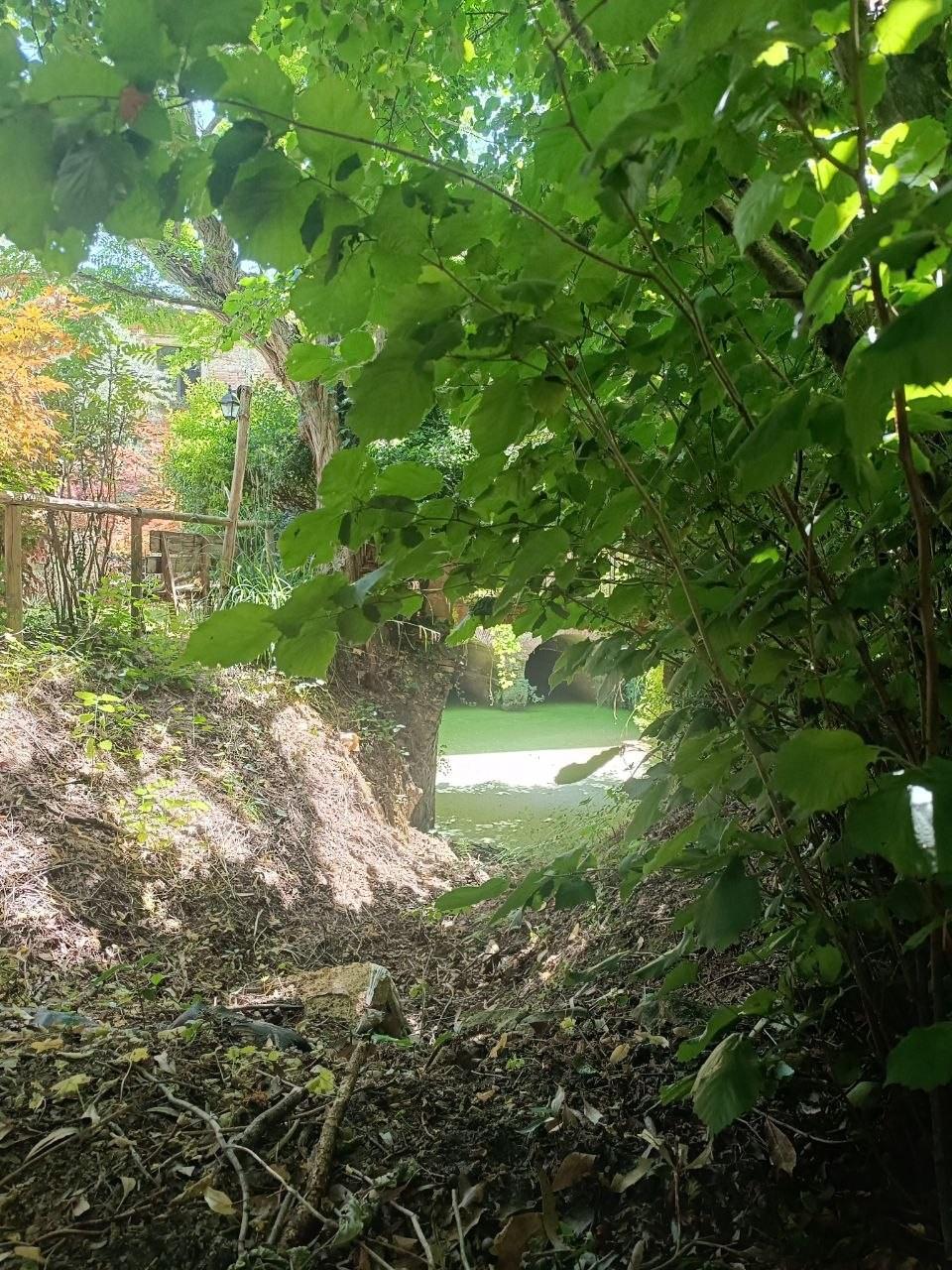 Casa indipendente con giardino, Fauglia acciaiolo