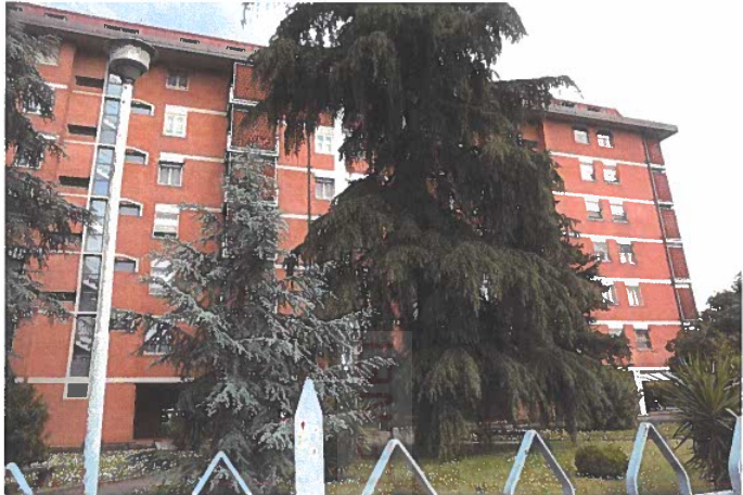 Appartamento con terrazzi, Firenze isolotto