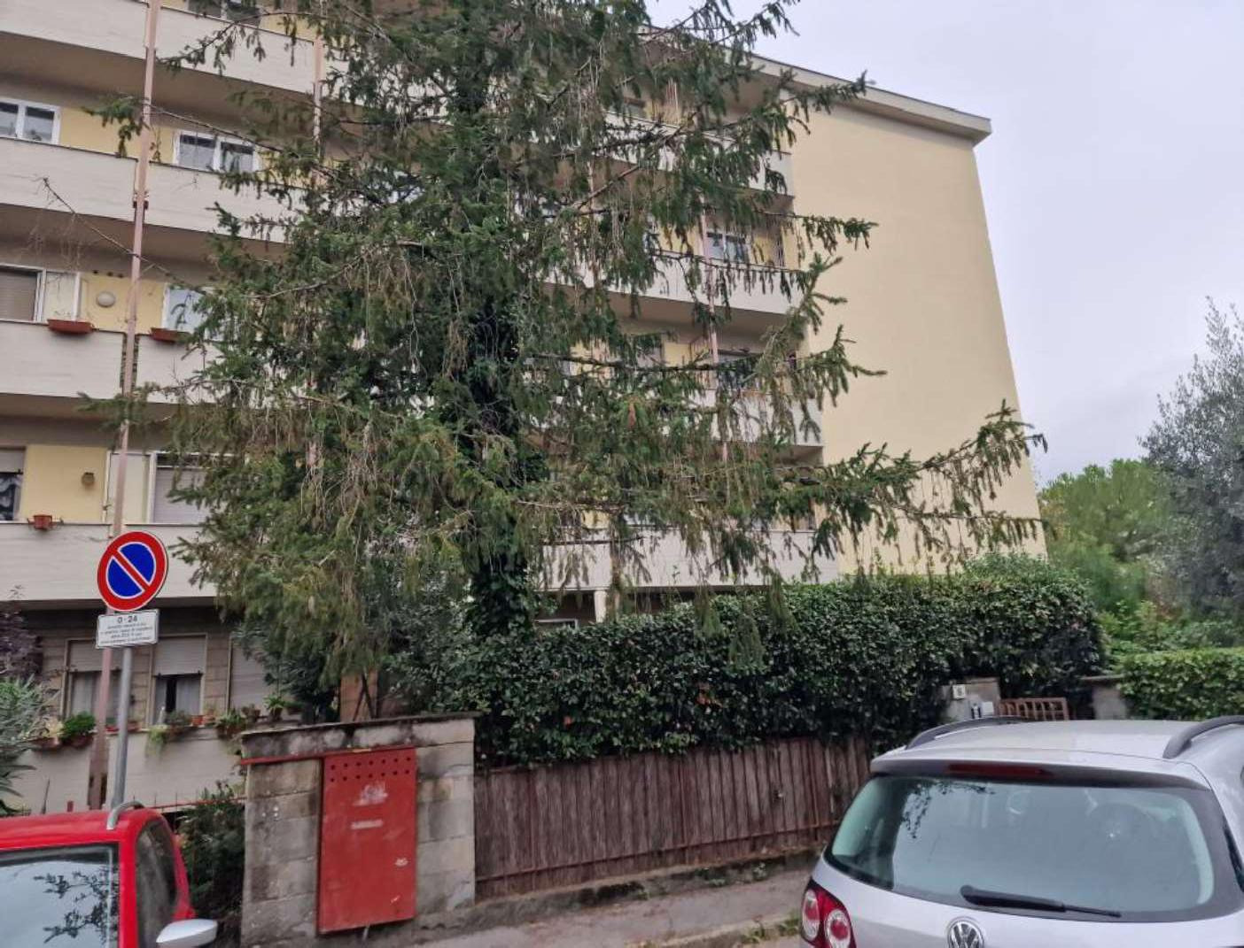 Appartamento con giardino, Firenze coverciano