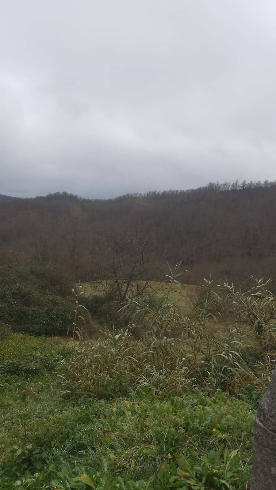 Casa singola in vendita a Spigno Monferrato