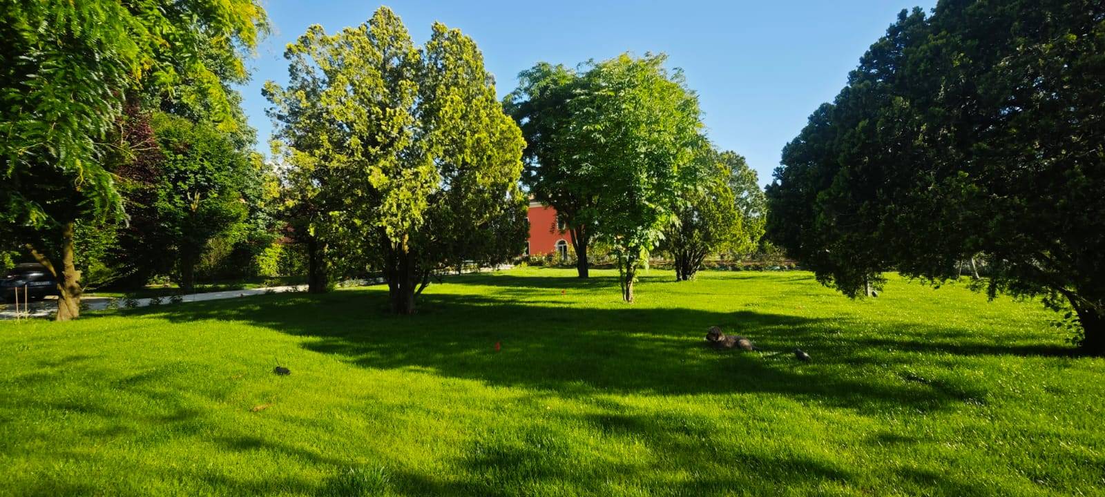 Appartamento in affitto a Modena, San Damaso