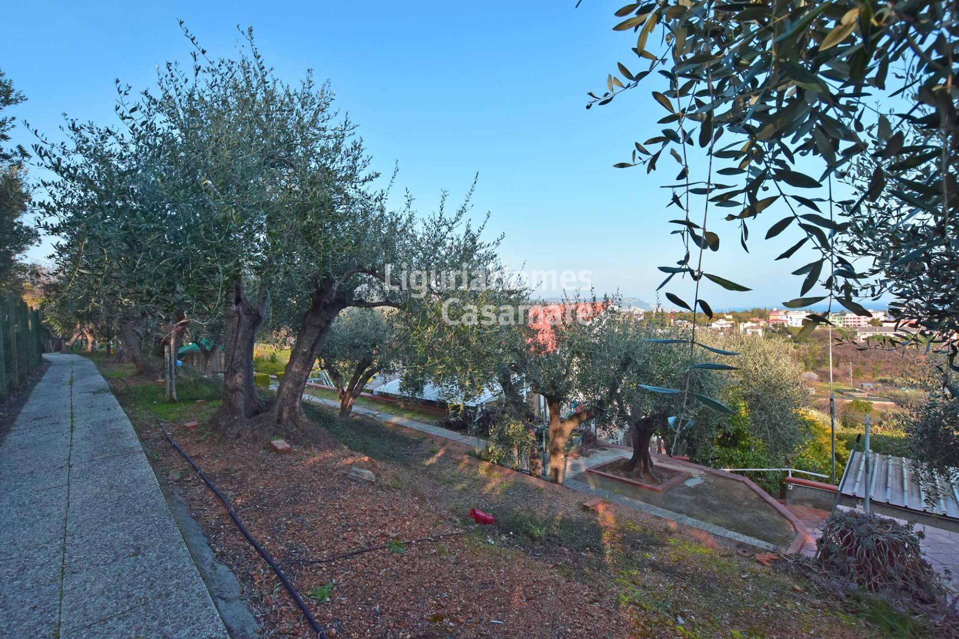 Appartamento in vendita a Borghetto Santo Spirito