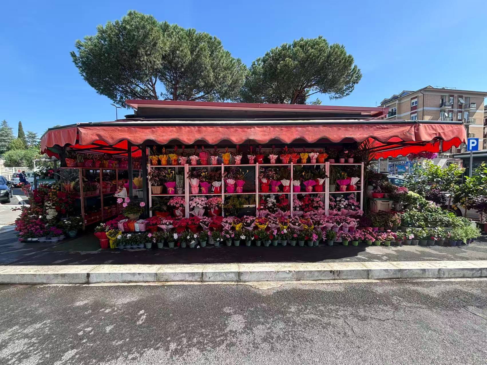 Struttura con Licenza in vendita a Roma, Nuovo Salario