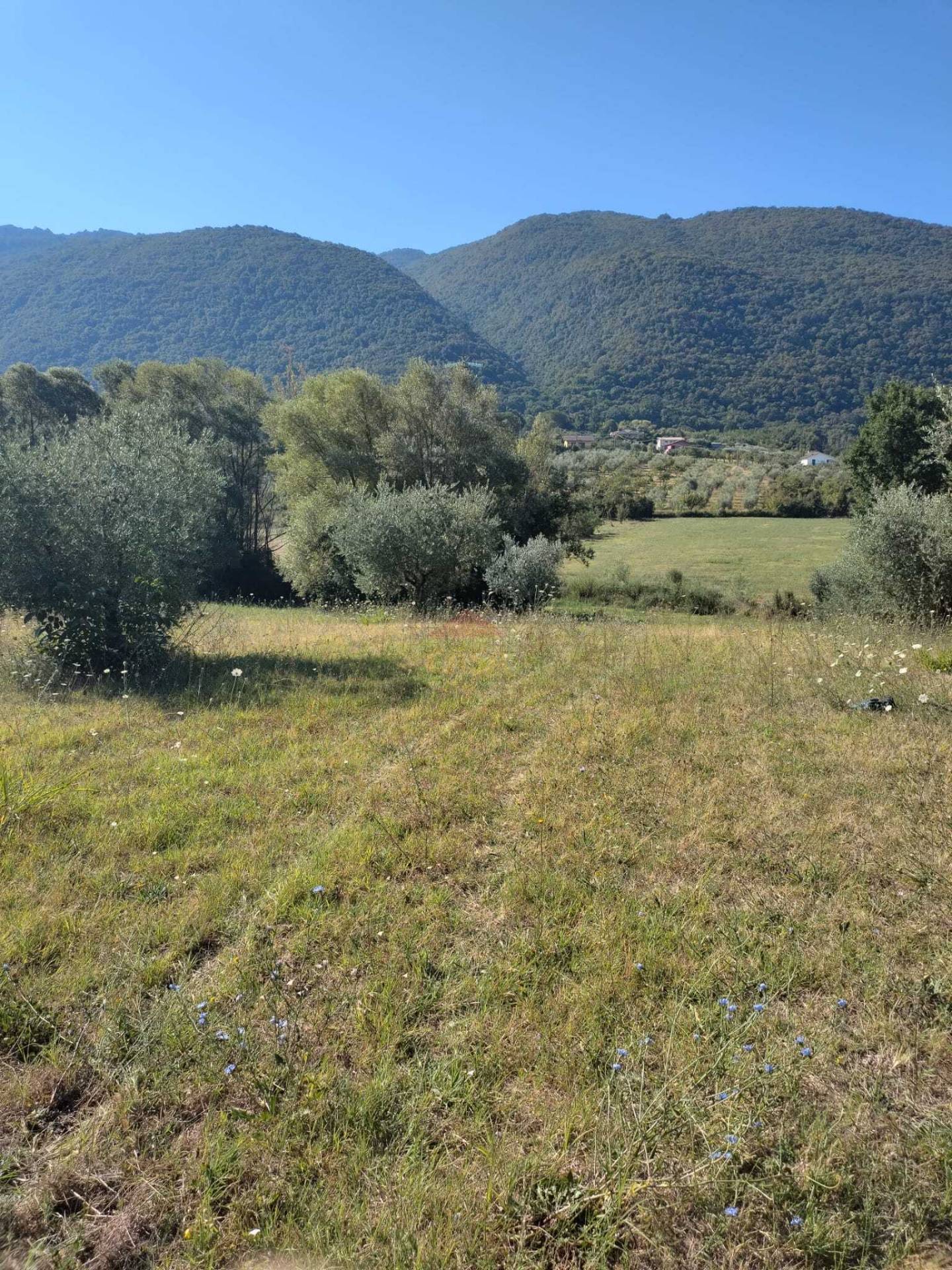 Terreno Agricolo in vendita a Castel Madama