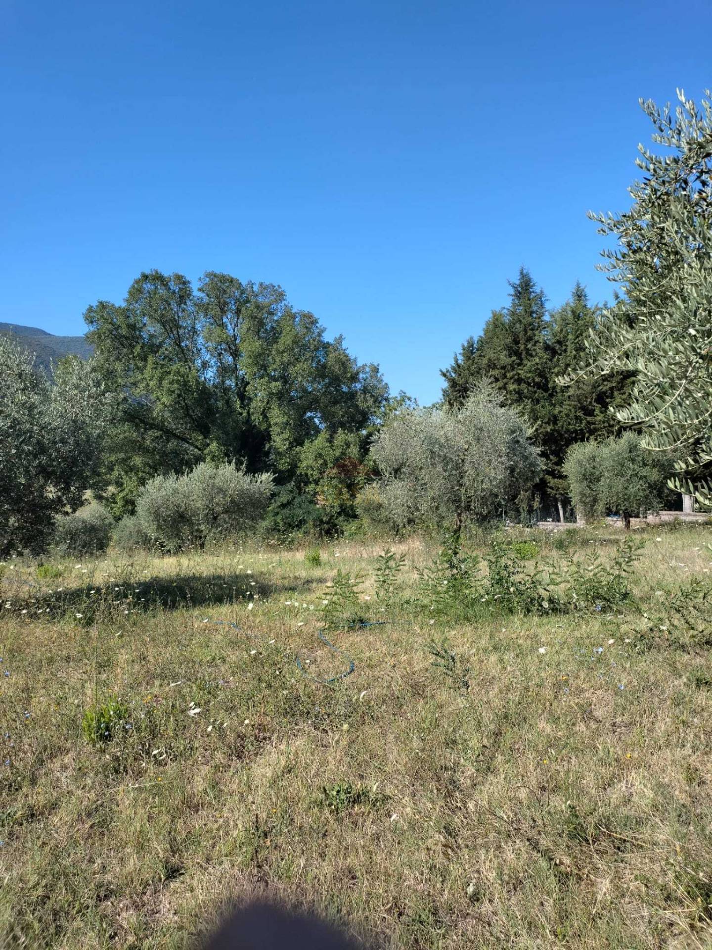 Terreno Agricolo in vendita a Castel Madama