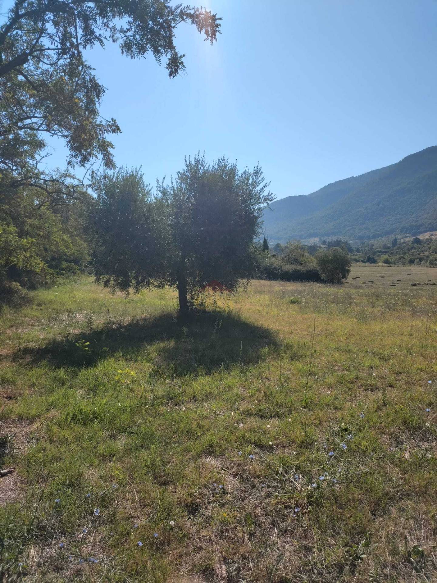 Terreno Agricolo in vendita a Castel Madama