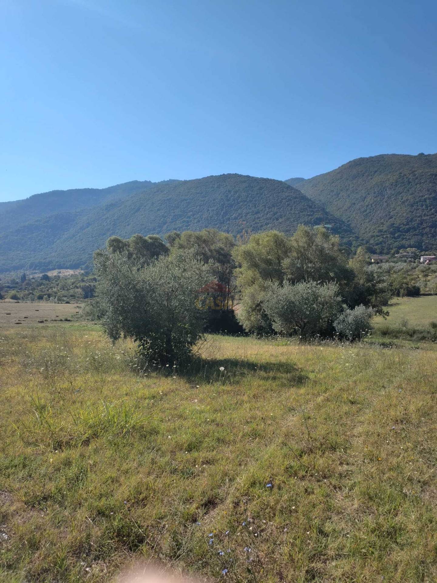 Terreno Agricolo in vendita a Castel Madama