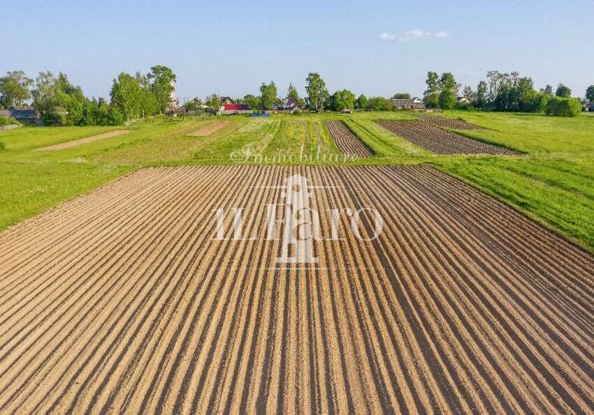 Terreno Agricolo in vendita a Campi Bisenzio