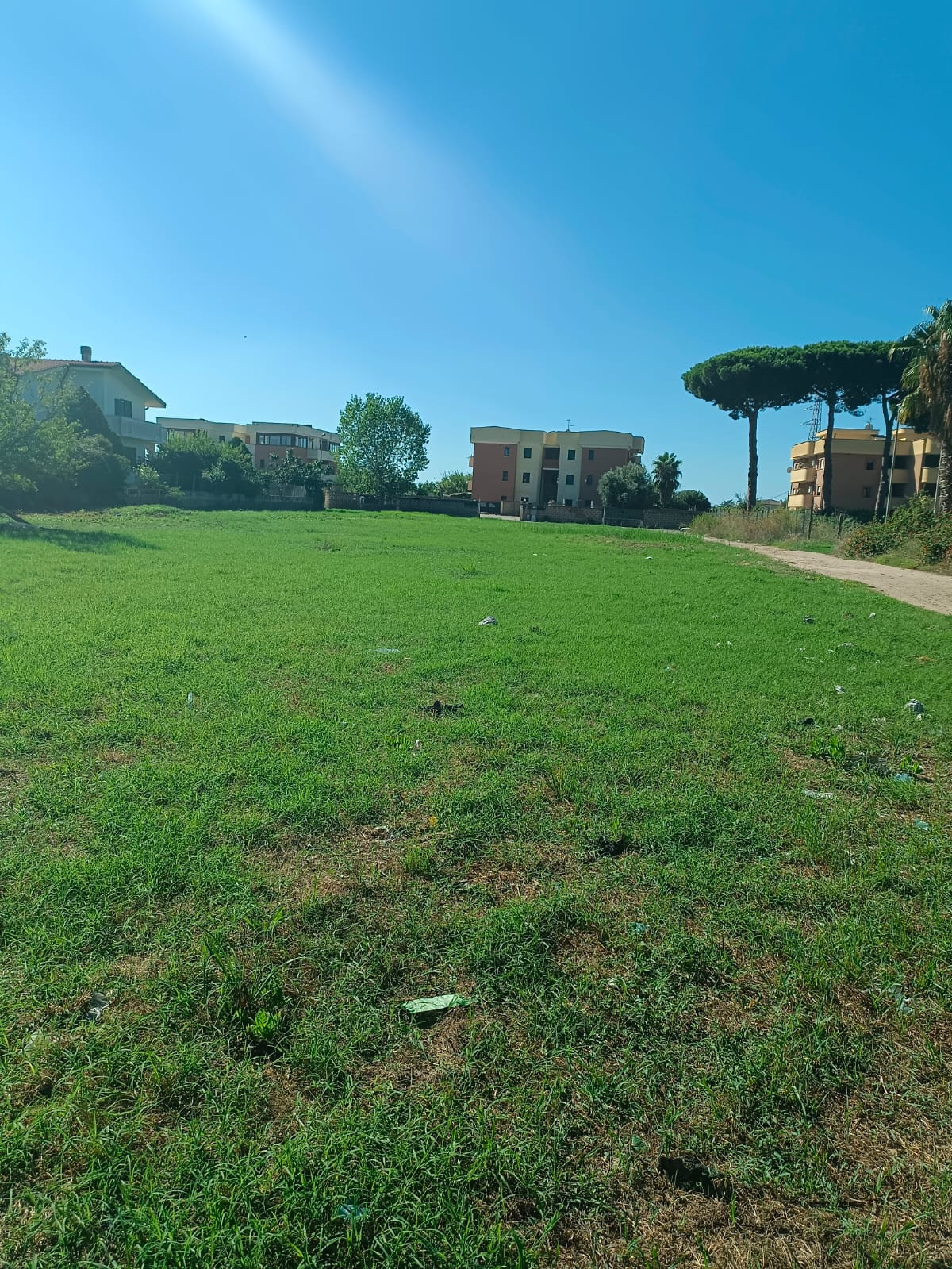 immagine annuncio 3 di 9