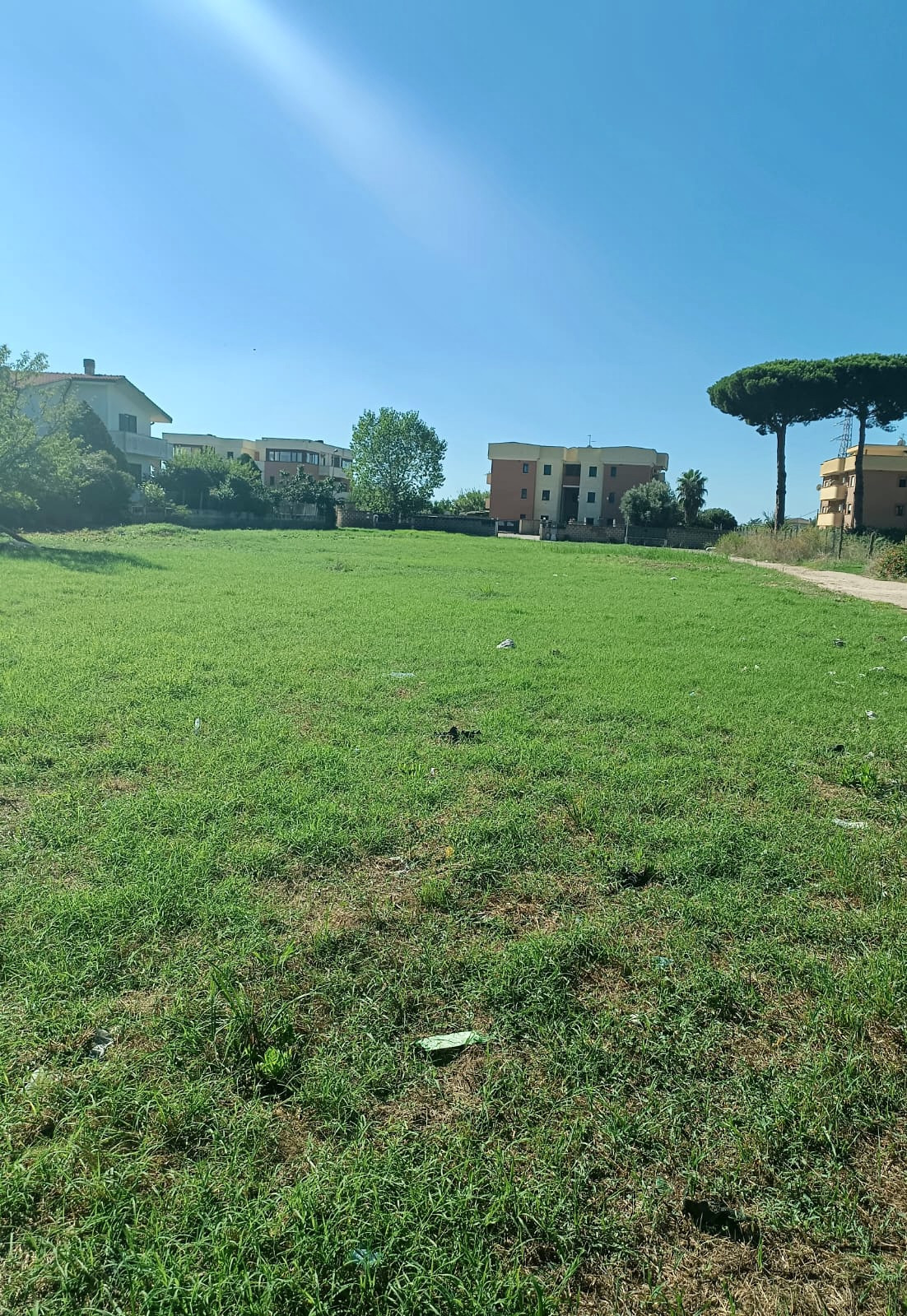 immagine annuncio 4 di 9