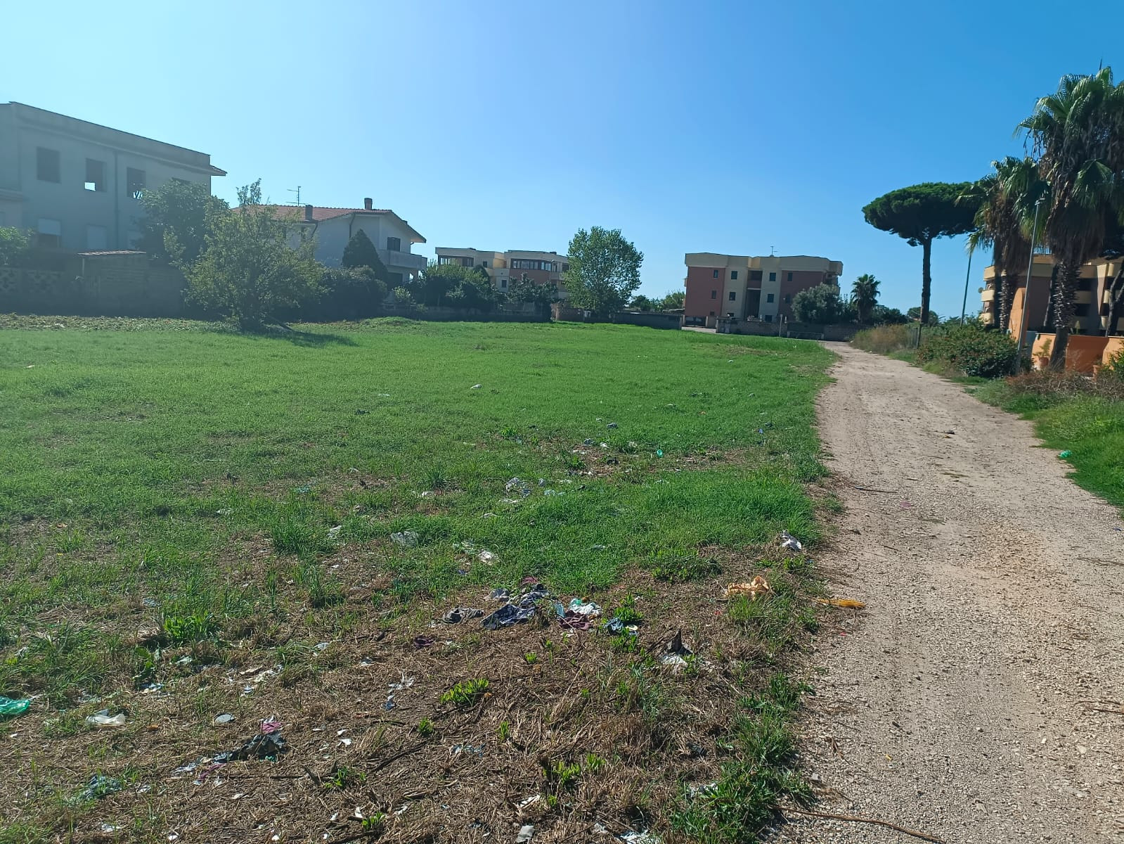 immagine annuncio 6 di 9