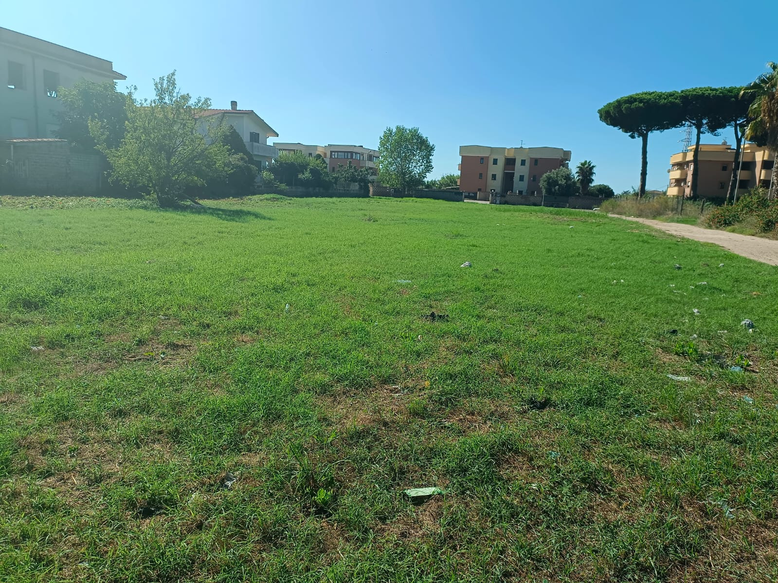 immagine annuncio 8 di 9