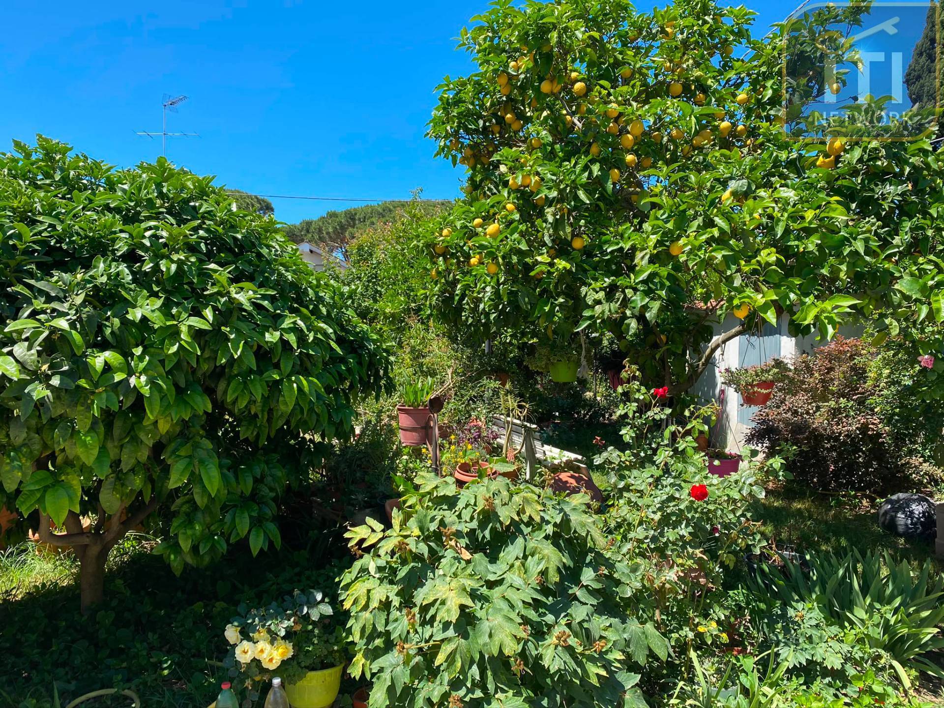 Villa singola in vendita a Ardea, Lido dei Pini di Ardea
