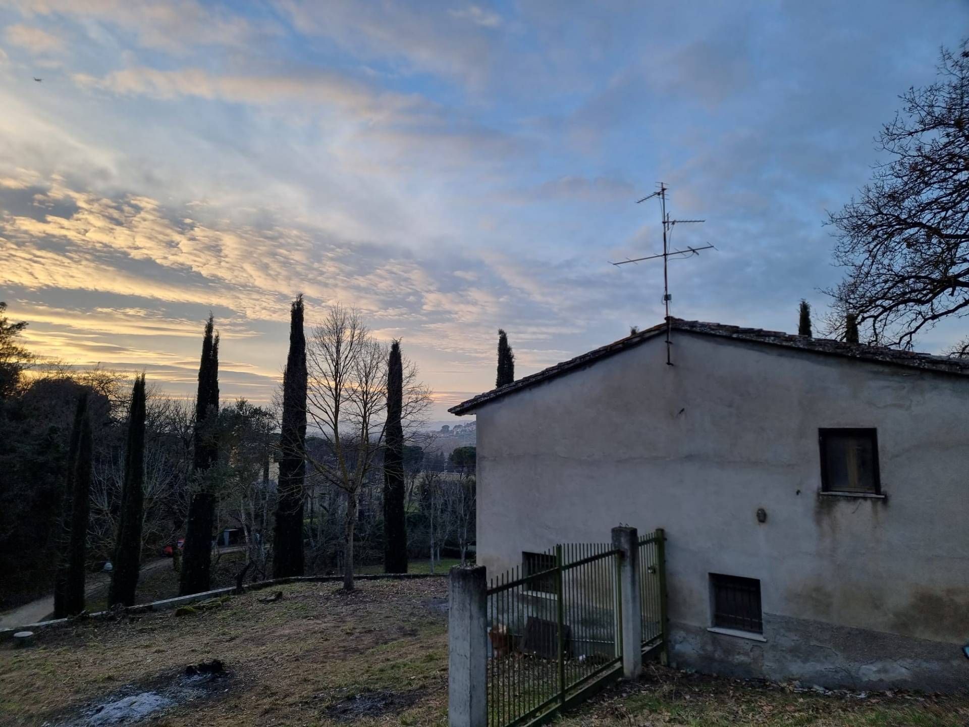 Casa singola in vendita a Torgiano, Signoria