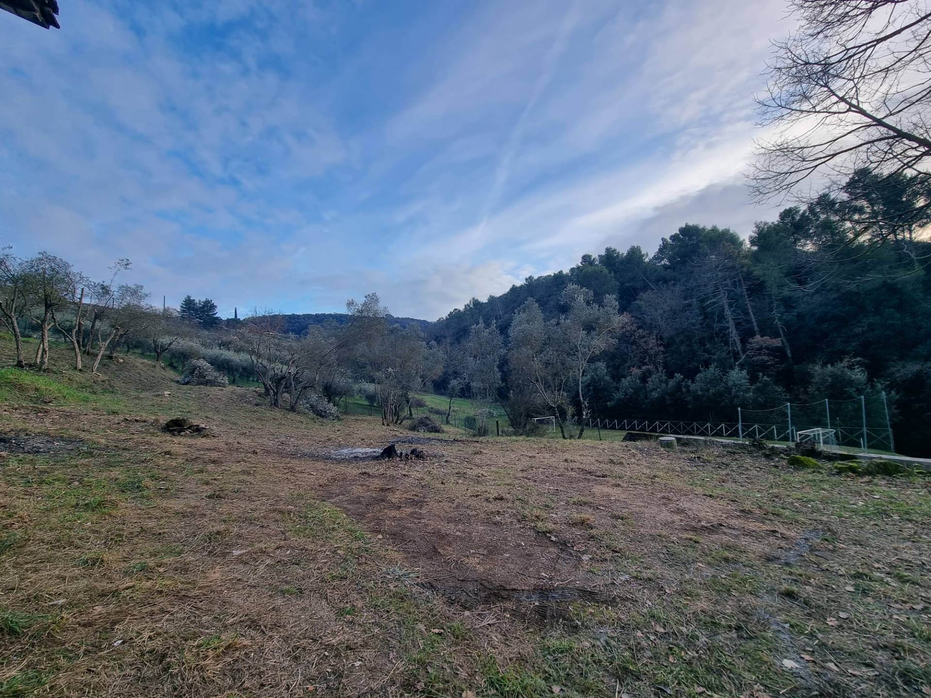 Casa singola in vendita a Torgiano, Signoria