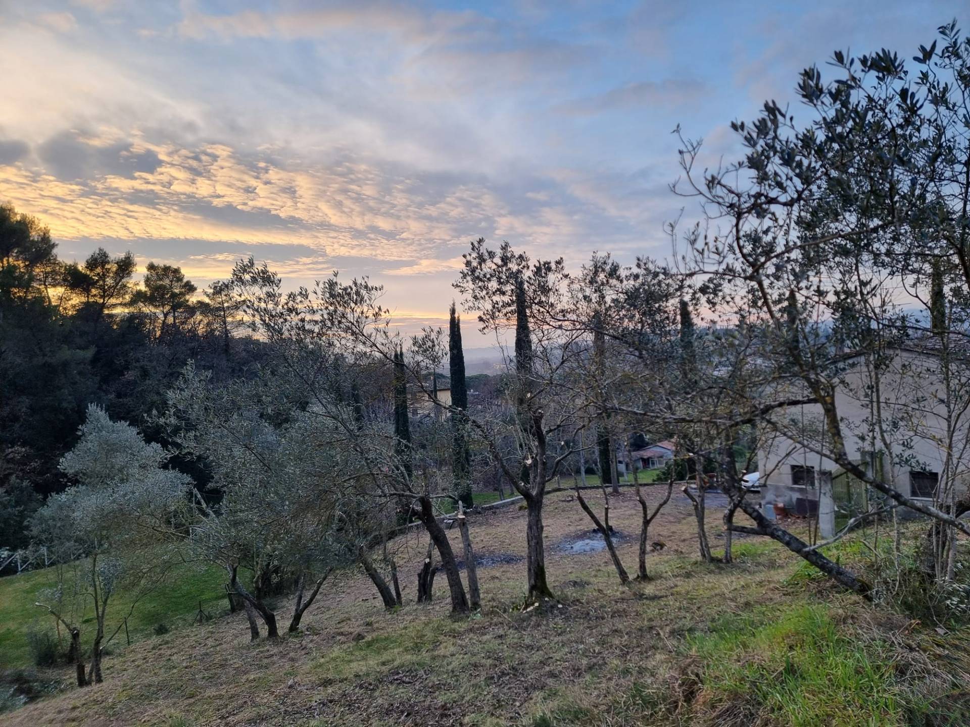 Casa singola in vendita a Torgiano, Signoria