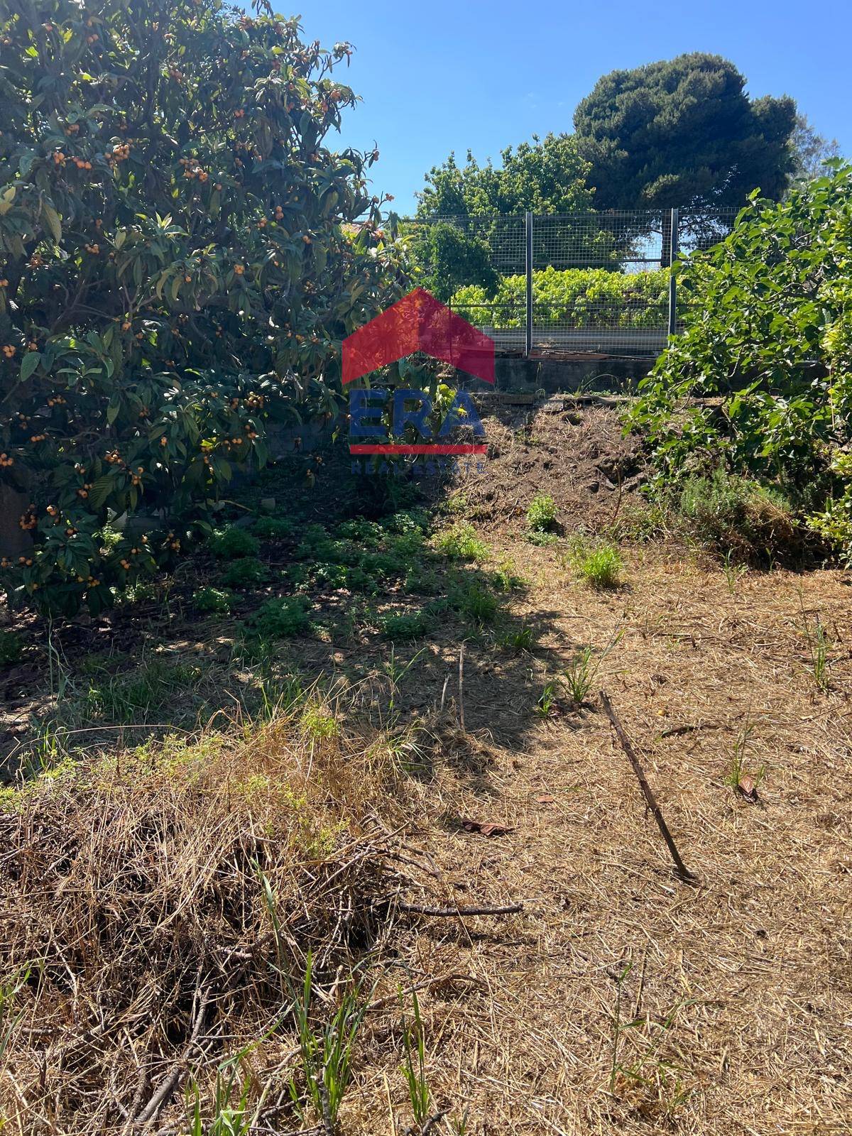 Terreno in vendita a San Giovanni la Punta