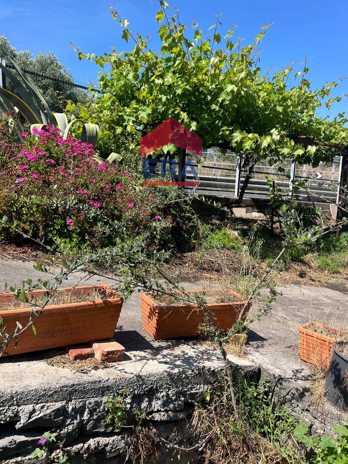 Terreno in vendita a San Giovanni la Punta