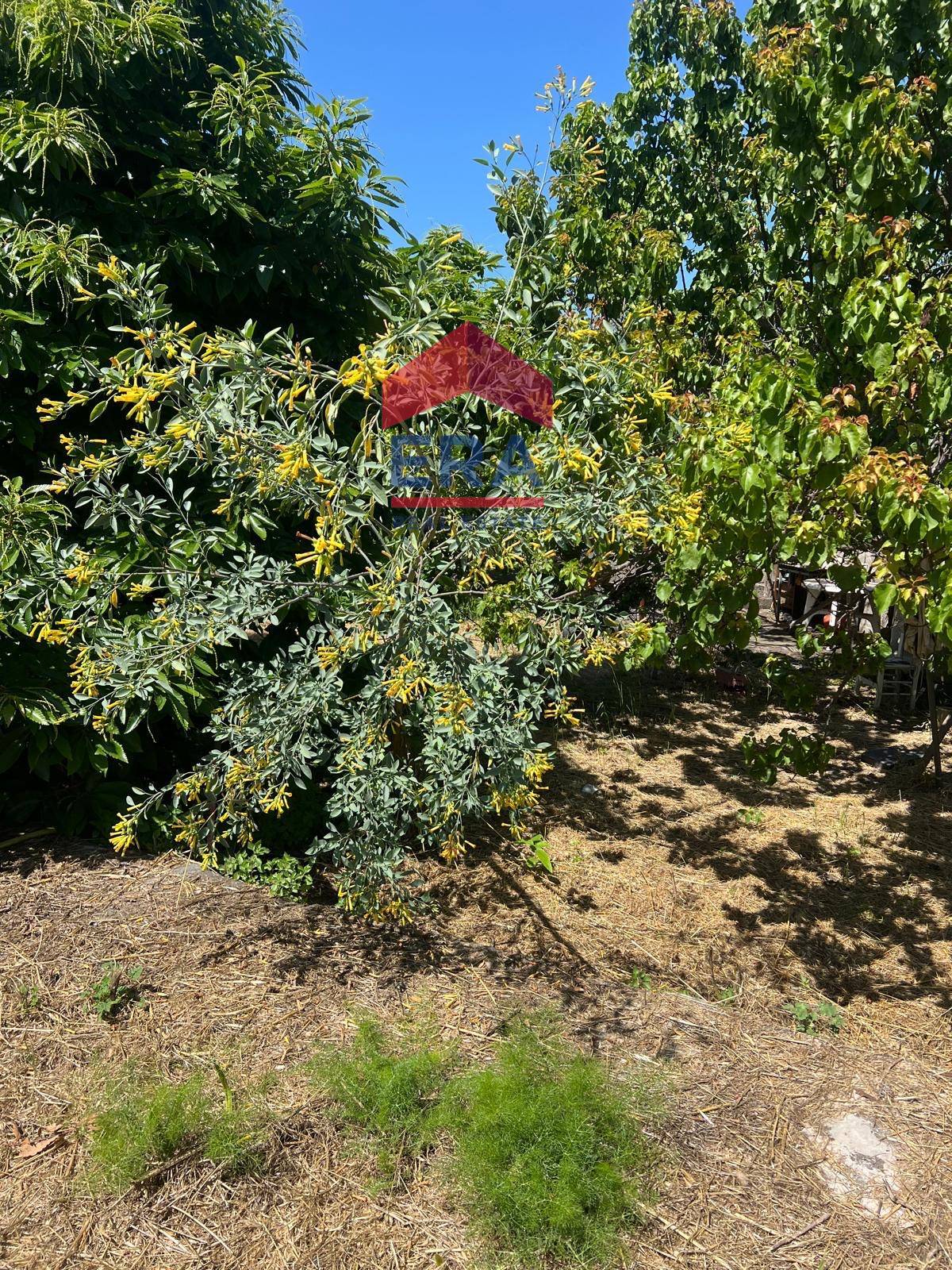 Terreno in vendita a San Giovanni la Punta