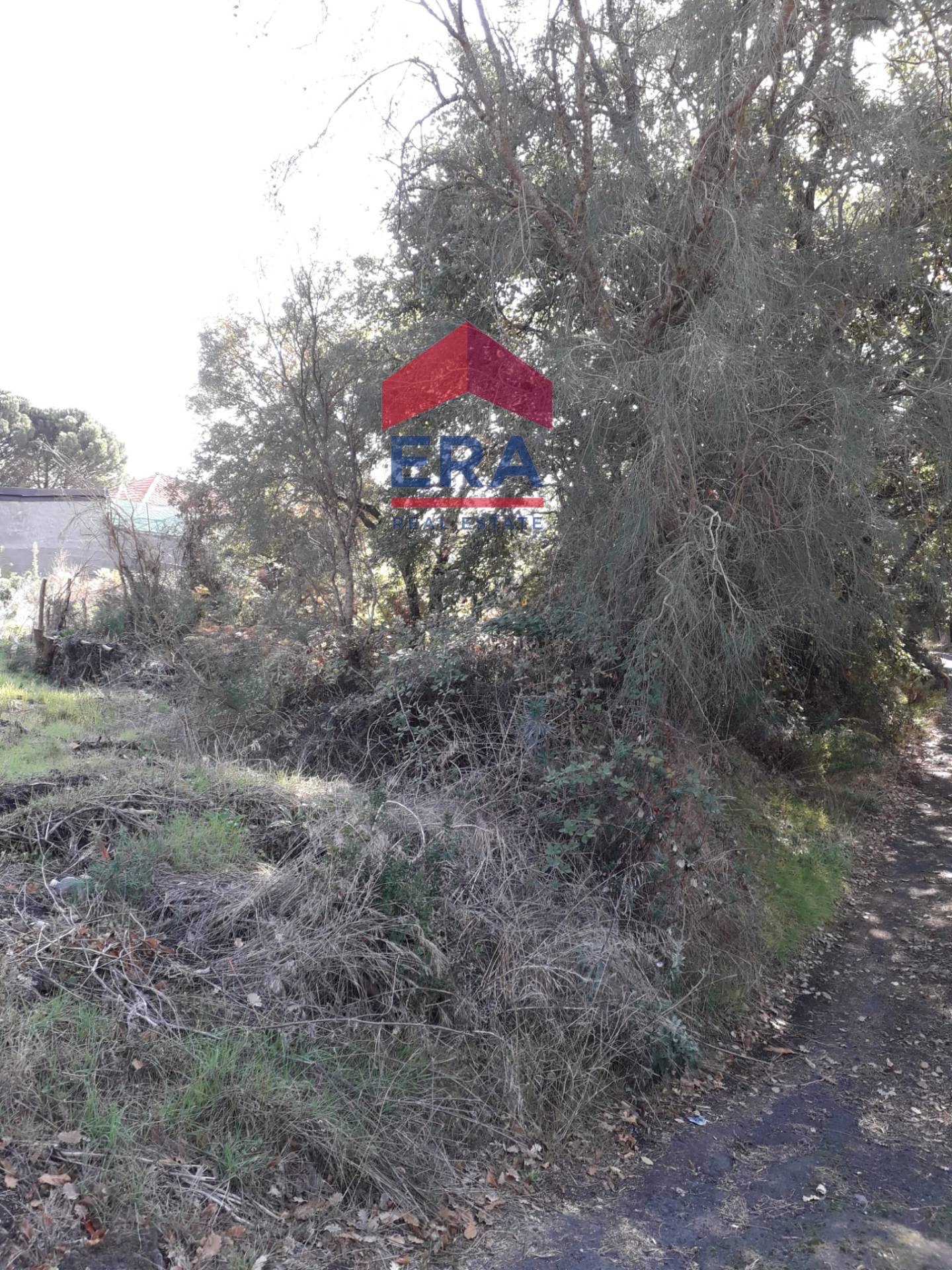 Terreno in vendita a Nicolosi