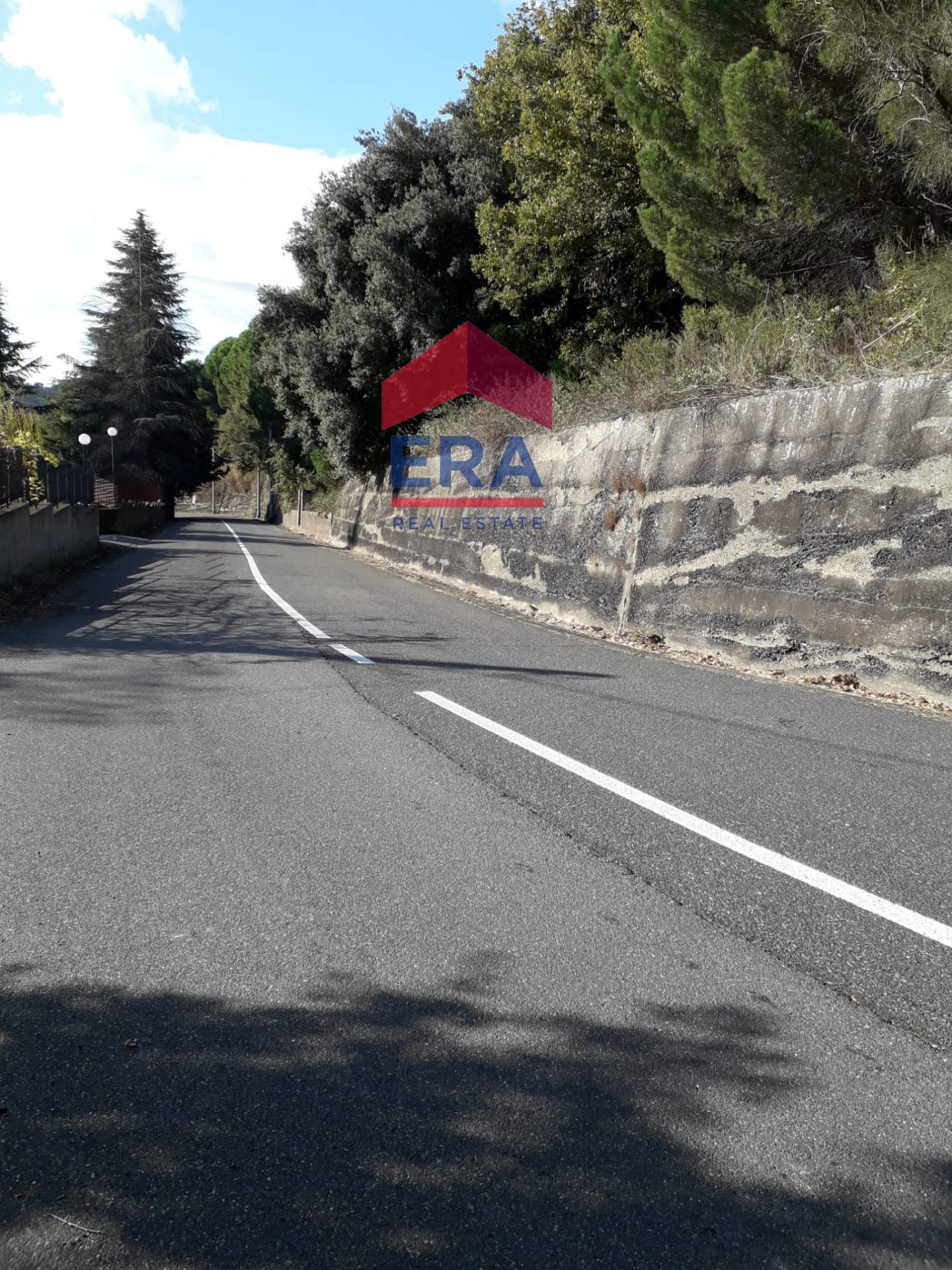 Terreno in vendita a Nicolosi