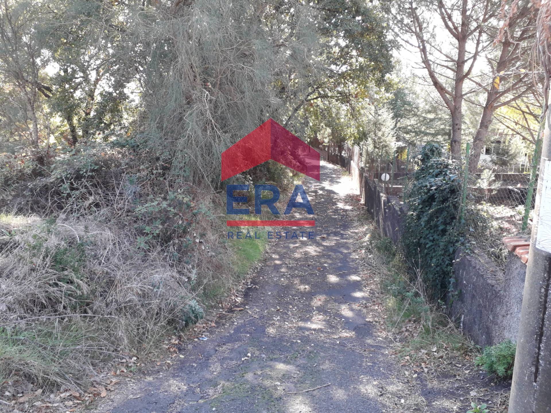 Terreno in vendita a Nicolosi