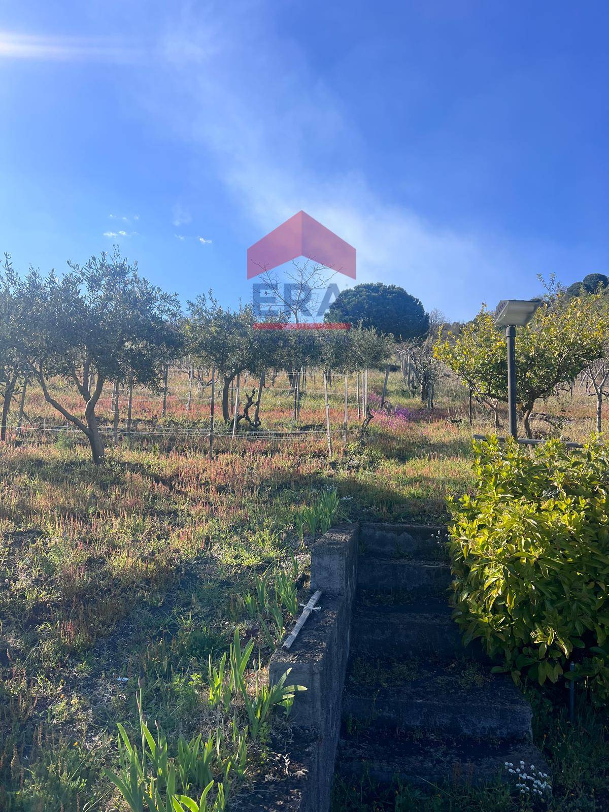 Terreno in vendita a Trecastagni