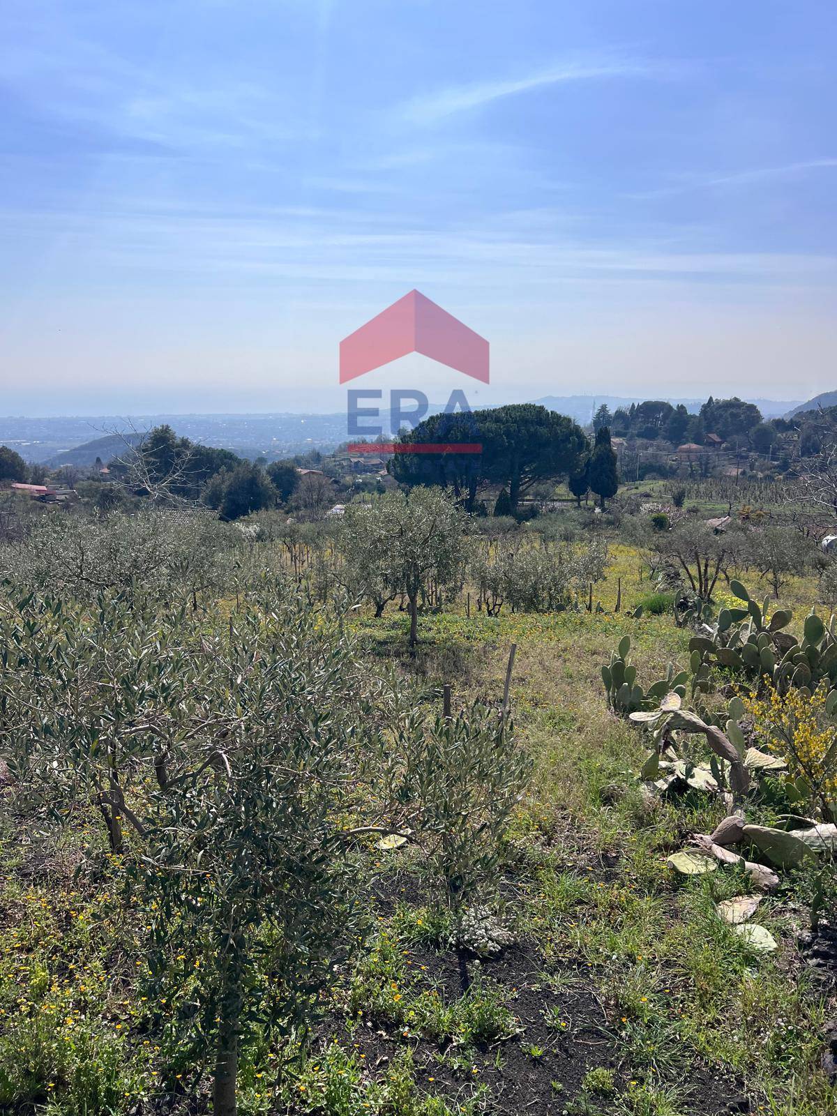 Terreno in vendita a Trecastagni