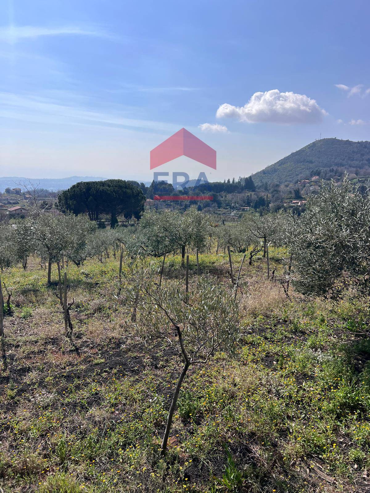 Terreno in vendita a Trecastagni