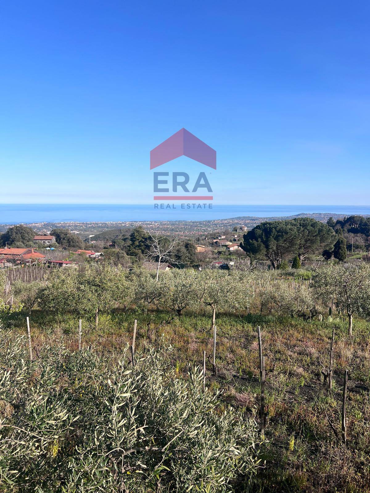 Terreno in vendita a Trecastagni